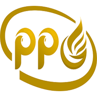 Welcome To P.P.G - Cover Image